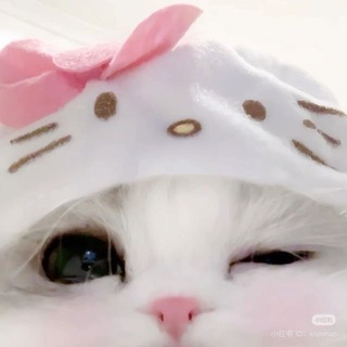 Telegram profile photo for ๐๐ข๐ฅ๐ฅ'๐ด ๐๐ญ๐ฐ๐จ ๐ซง