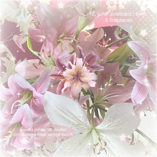 Telegram profile photo for ୨୧ㅤִㅤׄ ᑯɑցᧉ𝗍 ցꙆɑᧉrᧉიꪱ๋ⲥᧉㅤׄ 🍥ㅤִㅤ