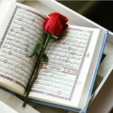 Telegram profile photo for هر روز یک صفحه با قرآن