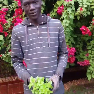 Telegram profile photo for مكتبة Live Compost الرقمية