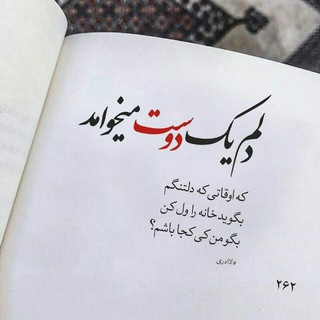 Telegram profile photo for دوستی و محبت