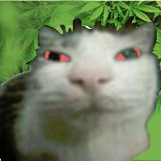 Telegram profile photo for Заброшка Хенли