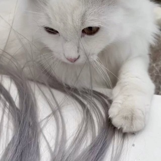 Telegram profile photo for ВОДИТЕЛЬСКОЕ УДОСТОВЕРЕНИЕ 🪪 ВОДИТЕЛЬСКИЕ ПРАВА