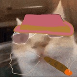 Telegram profile photo for Капо Кот