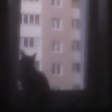 Telegram profile photo for Отзывы Dist928