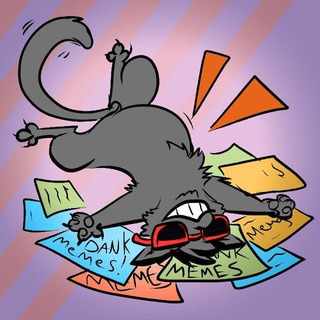 Telegram profile photo for Memercader 🐱