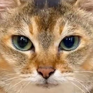 Telegram profile photo for ЖИЗНЬ НУЛЯ | ЕБАТОРИЯ 28.2