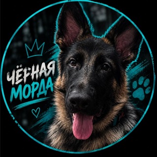 Telegram profile photo for Чёрная морда