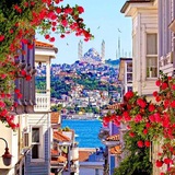 Telegram profile photo for Русская в Стамбуле 🇹🇷