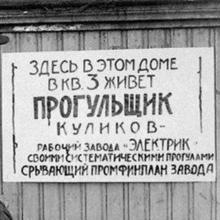 Telegram profile photo for Прогульщик Куликов