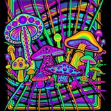 Telegram profile photo for Грибы для народа