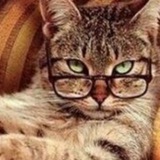 Telegram profile photo for Хулиганофф.net