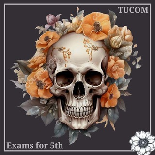 Telegram profile photo for Exams for 5th