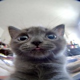Telegram profile photo for ahikii?