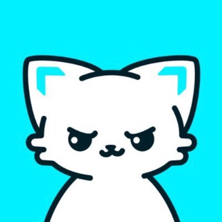 Telegram group profile photo for MOEW COMMUNITY 🐱🩵