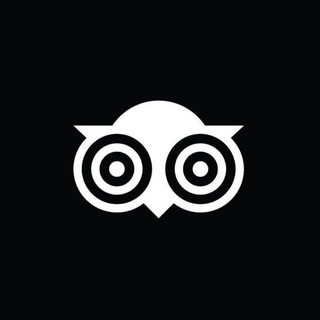 Telegram profile photo for Sentiment AI Portal