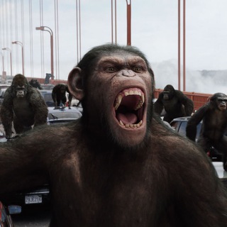 Telegram profile photo for ape's lounge