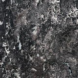 Telegram profile photo for n0t #garden