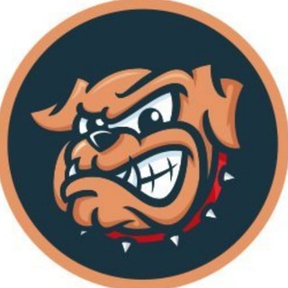 Telegram profile photo for SDOG官方