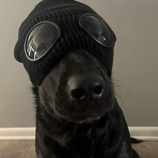 Telegram profile photo for Cole Portal