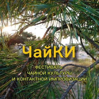 Telegram profile photo for ЧайКИ ChaiCI fest🌊