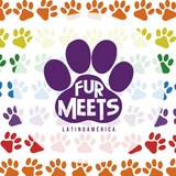 Telegram profile photo for Furmeets Latinoamérica