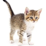 Telegram profile photo for Блог Данила Конъкова