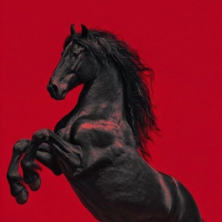 Telegram group profile photo for 0xygens MARKETPLACE