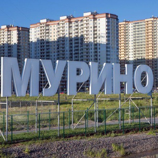 Telegram group profile photo for Мурино