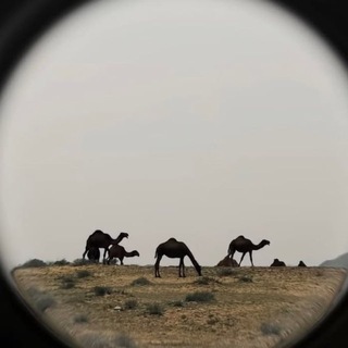 Telegram profile photo for لهّابة | استثنوا القناه .