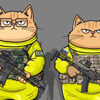 Telegram profile photo for Тактические Коты / Tactical Cats