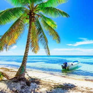 Telegram group profile photo for GS chat (ENG)