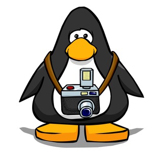 Telegram profile photo for Siava.фото-видео.блог