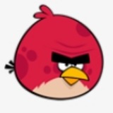 Telegram profile photo for ایردراپ + ماینر