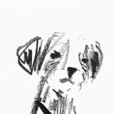 Telegram profile photo for SCOURVIEST OPEN JOKI TUGAS محل