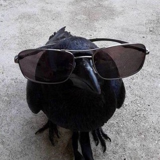 Telegram profile photo for Рождение Легенды