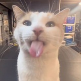 Telegram profile photo for Archives.