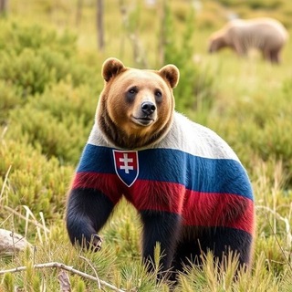 Telegram profile photo for Slovenský medveď