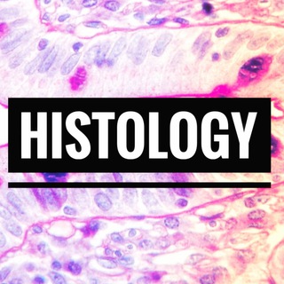 Telegram profile photo for Histology || 2nd