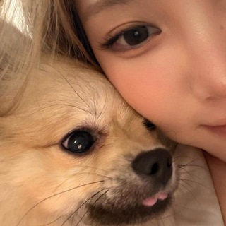 Telegram profile photo for Chaein