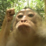 Telegram profile photo for sergo.crypt