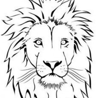 Telegram profile photo for Tim的频道