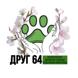 Telegram profile photo for Друг 64