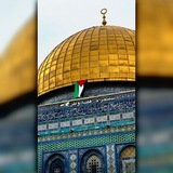Telegram profile photo for قصة وطن🕊️🇵🇸،