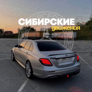 Telegram profile photo for сибирские движения
