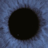 Telegram profile photo for noлoтнo 6eзrлaзoro