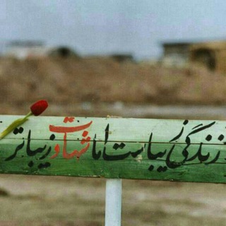 Telegram profile photo for صفحه شخصی ابوالفضل مطیعی