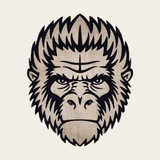 Telegram profile photo for TOKquest