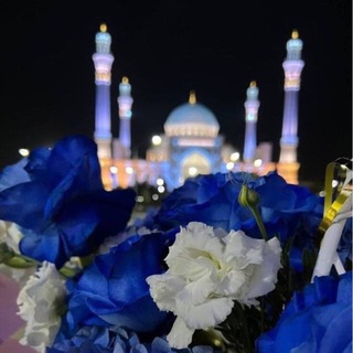 Telegram profile photo for روحي