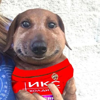 Telegram profile photo for причёска Головина / ЦСКА МОСКВА